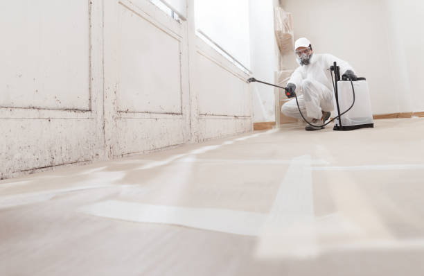 24/7 Emergency Mold Removal experts in Church View, VA