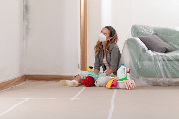 Reliable Mold Removal contractor in Church View, VA by WQB Mold Removal